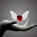 ���� ��������, ������ - ��������� 23 ���� 2012 � ������ �������