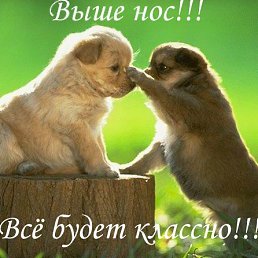 ���� �������, �������, 64 ���� - ��������� 18 ������� 2012