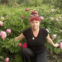 ���� �����, ����, 59 ��� - ��������� 3 ���� 2013 � ������ ���� ����������