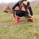 ������ ���� ��������� ������ �� ������� ���� ����������