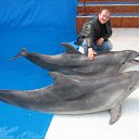  Garinich, , 48  -  29  2011   