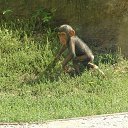 ���� ����� - ���������� ��������!!!, �����������, 56 ��� - ��������� 26 ������ 2009 � ������ �������