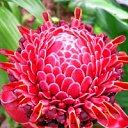 ���� Beluardo, ������, 44 ���� - ��������� 9 ���� 2012 � ������ �������