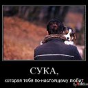 ���� ����� ���������, ������, 48 ��� - ��������� 26 ������� 2013 � ������ ���� ����������