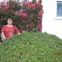 ���� ������, ��������, 61 ��� - ��������� 11 ���� 2012 � ������ ���� ����������