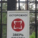 ���� ����, ������, 49 ��� - ��������� 9 ������ 2012 � ������ ���� ����������