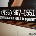 ���� �������, ������, 41 ��� - ��������� 11 ������� 2009 � ������ ��������� � ���������