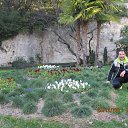 ���� Muslim, �������� - ��������� 22 ���� 2013 � ������ ���� ����������