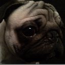 ���� �������, �����������, 43 ���� - ��������� 22 ������ 2011