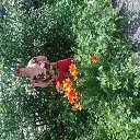 ���� ������, ������, 68 ��� - ��������� 26 ���� 2013 � ������ ����� ��� ������������