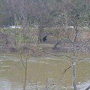 ���� ������, ����-���������, 50 ��� - ��������� 3 ������ 2011 � ������ ������