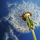 ���� ����� - ���������� ��������!!!, �����������, 56 ��� - ��������� 15 ������ 2010 � ������ �������� ��� ���� :-)))�