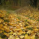 ������ ����� ��� ������ �� ������� �������� �������