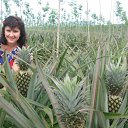 ���� �����, ���������, 54 ���� - ��������� 22 ������ 2012 � ������ ���� ����������