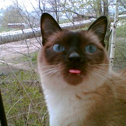 ���� ������ ������, �������, 57 ��� - ��������� 24 ���� 2012