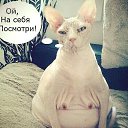 ���� ����, ���������, 39 ��� - ��������� 14 ����� 2013