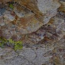 ���� Svann, ���������, 71 ��� - ��������� 11 ���� 2013 � ������ ���������� �� �������
