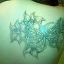 ���� ������, �����, 36 ��� - ��������� 1 ������� 2011 � ������ ���� ����������