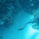  ,  -  19  2011       ...