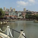 ���� ������, �����������, 46 ��� - ��������� 23 �������� 2010