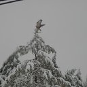 ������� ��� ����� ������� ����! �� ������� ��������-����