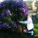 ���� ����, �����������, 61 ��� - ��������� 29 ����� 2012 � ������ �����