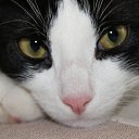 ���� ����, ������-��-����, 24 ���� - ��������� 28 ���� 2010 � ������ �������