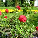 ���� ������, ������� - ��������� 8 �������� 2011