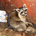 ���� ���, ������� ���� - ��������� 9 ������ 2011 � ������ �� � ��� ������� �����