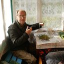 ���� �������, �����������, 66 ��� - ��������� 7 ������� 2012 � ������ ���� ����������