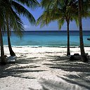 ���� ������, �����������, 41 ��� - ��������� 9 ������� 2012 � ������ ���� ����������