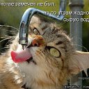 ���� �������, ������, 41 ��� - ��������� 11 ������� 2009 � ������ ��������� � ���������