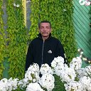 ���� ������, ��������, 62 ���� - ��������� 1 ������� 2012 � ������ ���� ����������