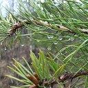 ���� ����������, �����-���������, 47 ��� - ��������� 1 ���� 2011 � ������ ������