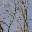  ,  -  12  2010      !