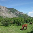 ���� ������, ������, 51 ��� - ��������� 7 ���� 2012 � ������ ���� ����������