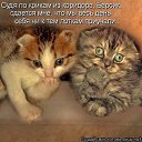 ���� ������, �����-��������� - ��������� 25 ���� 2013 � ������ ������� �������