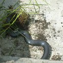 ���� ����, ������, 25 ��� - ��������� 22 ���� 2010