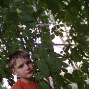 , 26 , 