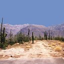 ���� ������� Cat's., �����, 43 ���� - ��������� 22 ������� 2010 � ������ ����� �������� ������