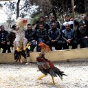  ,  -  3  2012     ӻ