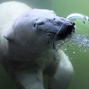 ���� ����� - ���������� ��������!!!, �����������, 56 ��� - ��������� 20 ������� 2009 � ������ ������������� ��������� � ��������� ���!�