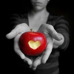 ���� ����� ***, ������, 41 ��� - ��������� 31 ��� 2013