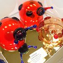 ���� �������, ��������, 43 ���� - ��������� 10 ������ 2010 � ������ �����-�����������