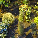 ���� ������, ��������, 66 ��� - ��������� 5 ������ 2013 � ������ ���� ����������