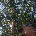 ���� ����� ���������, ������������, 42 ���� - ��������� 9 ������� 2010 � ������ ���� ����������