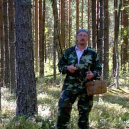  , -, 66  -  25  2013