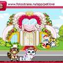  , , 45  -  2  2011   PetLove