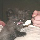 ����� ������� ����� ������ ������! �� ������� ���� ������� �����