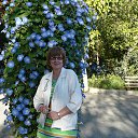  , , 65  -  3  2012      ߻